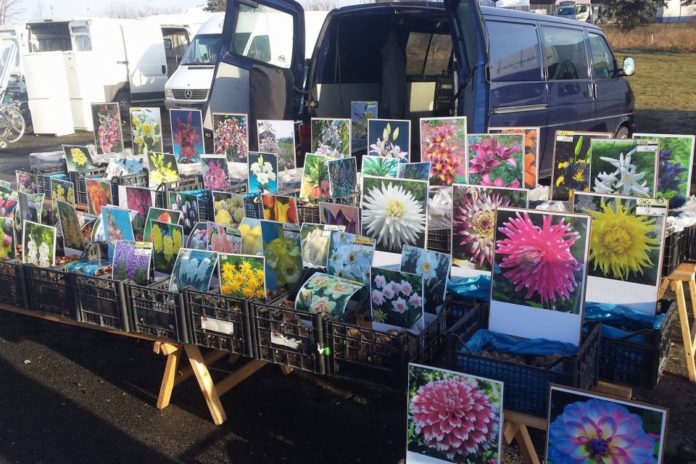 Giełda jutro otwarta