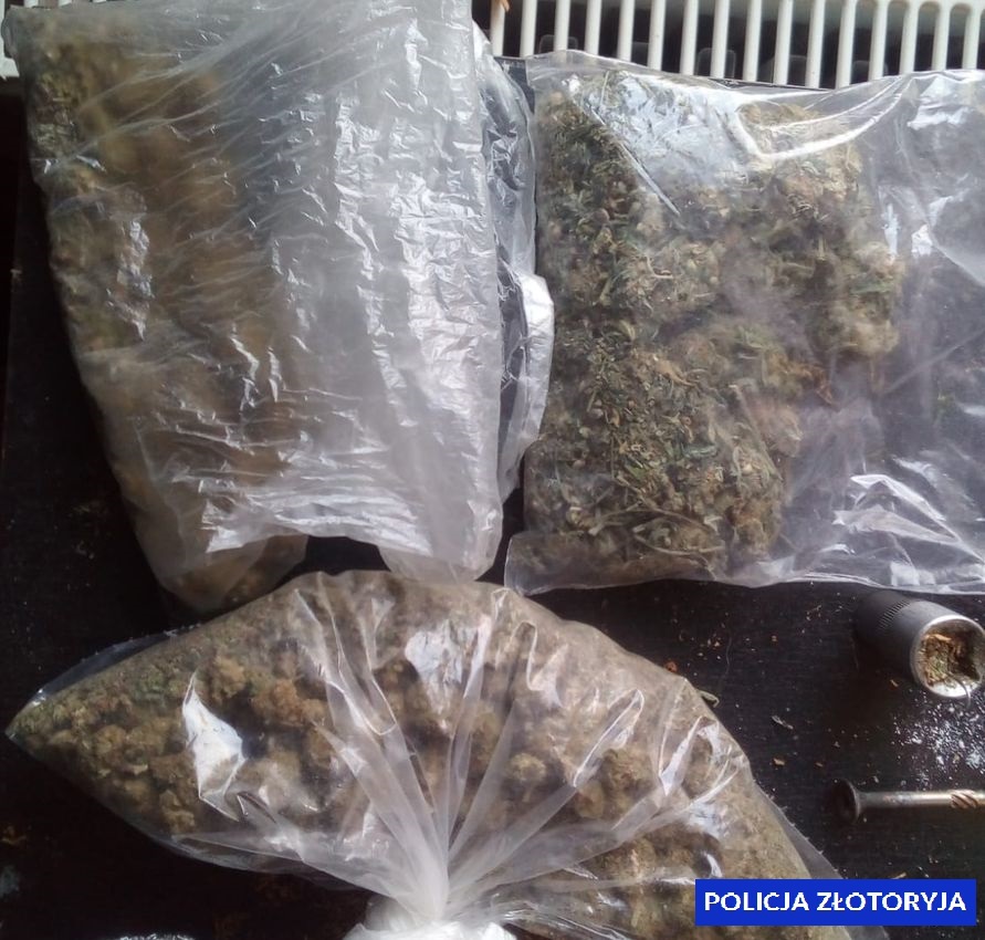 Mieli pół tysiąca porcji metamfetaminy i marihuany (FOTO)