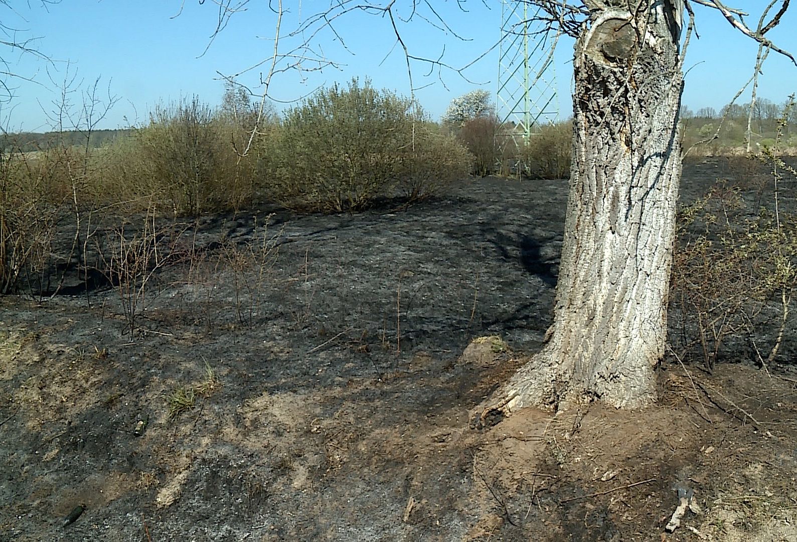 Najwyższy stopień zagrożenia w lasach (WIDEO)