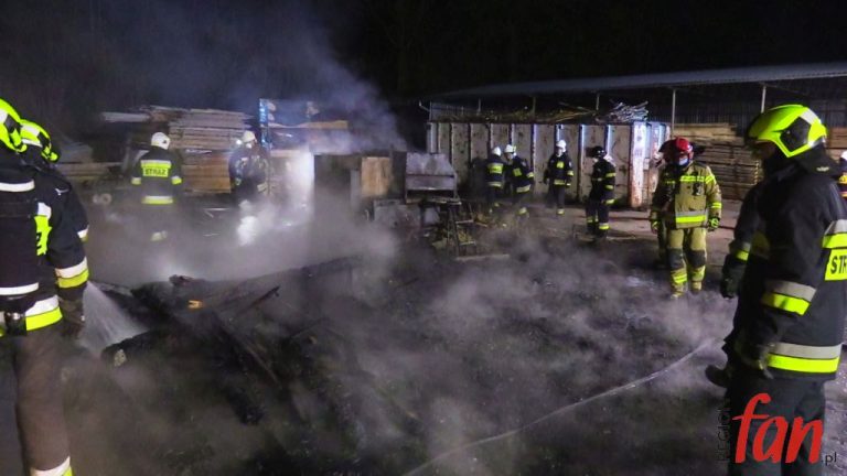 Pożar w stolarni w Bolkowie (FOTO, WIDEO)