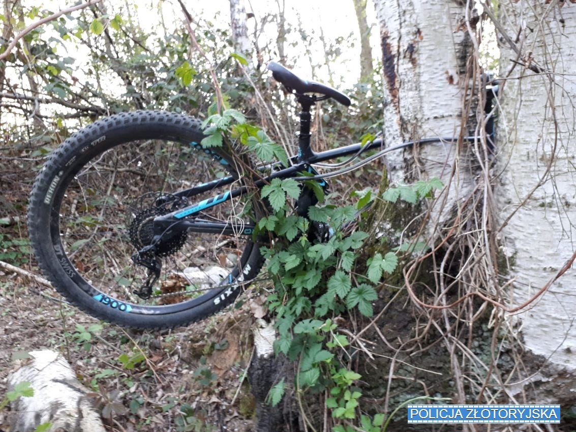 Ukradł rower i przypiął go do drzewa, żeby nikt… nie ukradł