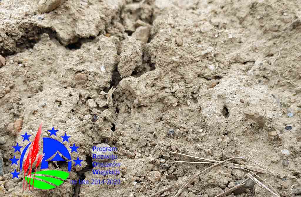 Na suszę – nawadnianie!