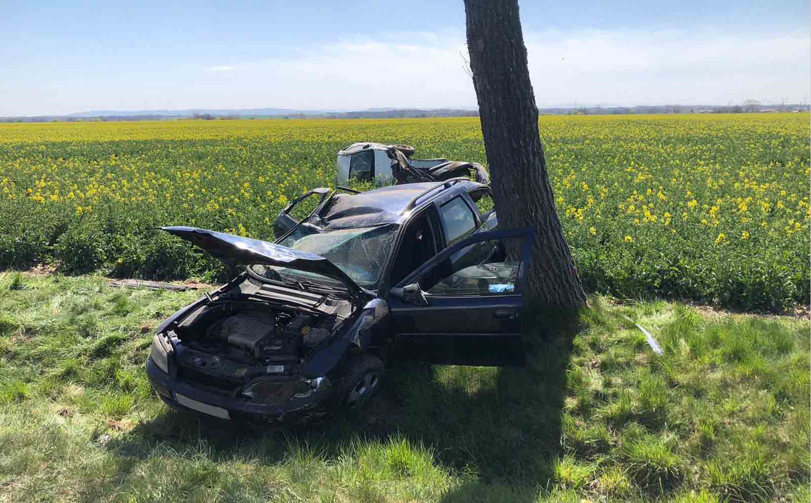 Dachowanie pod Chojnowem (FOTO)