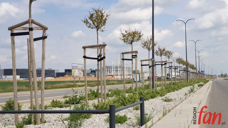 Jawor na topie inwestycji – konkurs trwa