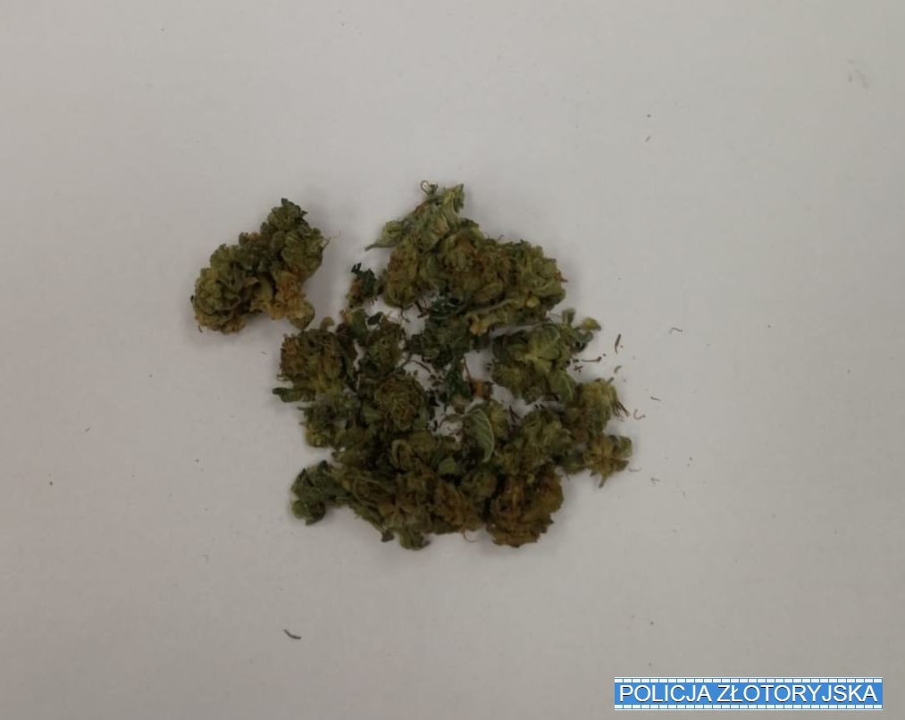 W kieszeni miał marihuanę, więc noc spędził w areszcie