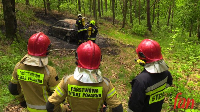 Pożar auta w środku lasu (FOTO, WIDEO)