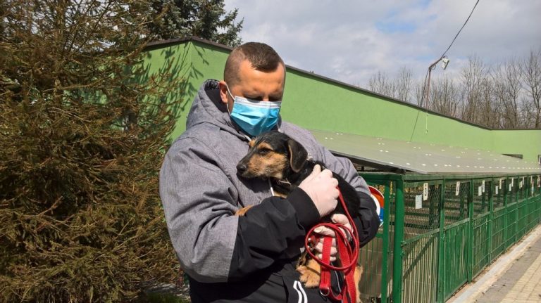 Szukają kochających domów (FOTO)