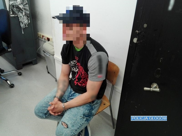 Usłyszał sześć zarzutów kradzieży