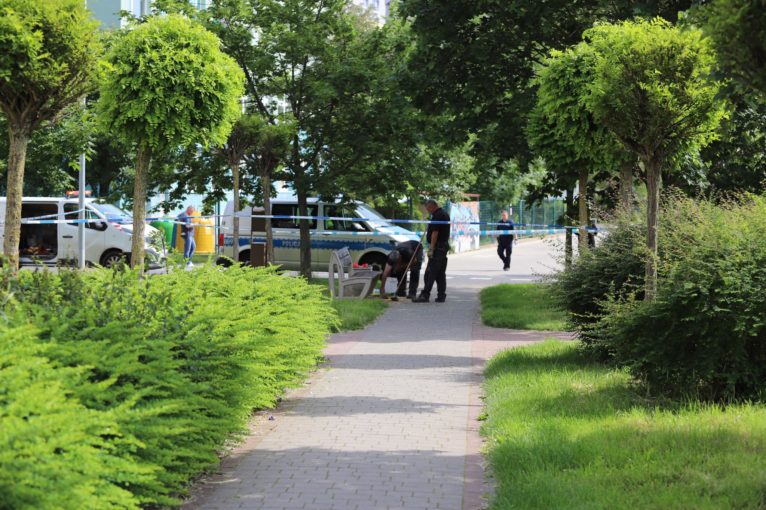 Nocne zabójstwo na Sokolej