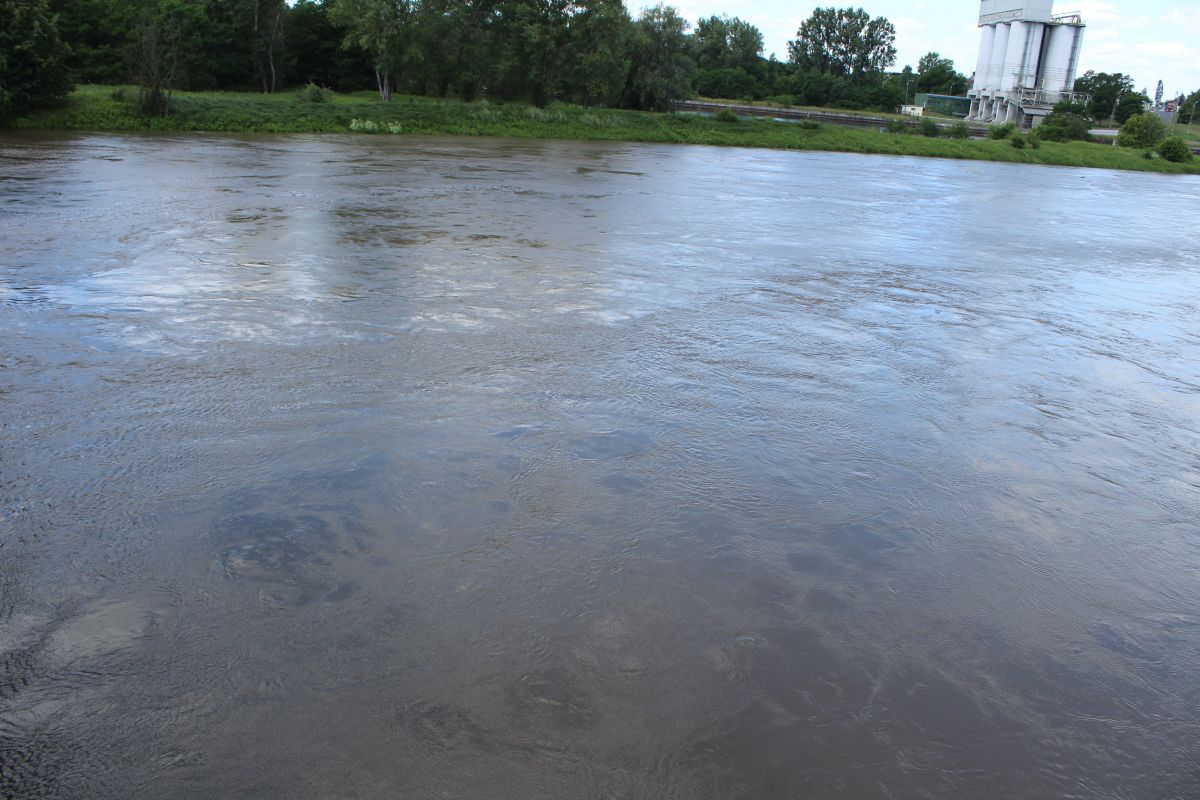 Karczyński: Na tę chwilę Odra jest czysta