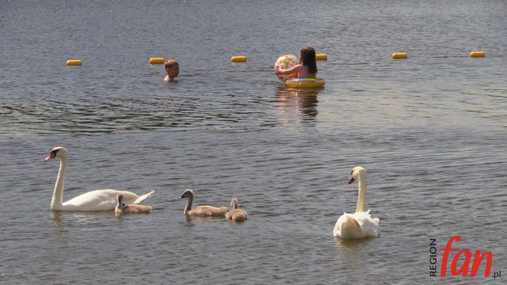 Biała flaga na Jaworniku!