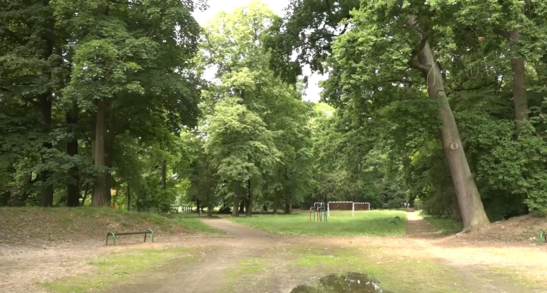 Historyczny park do rewitalizacji