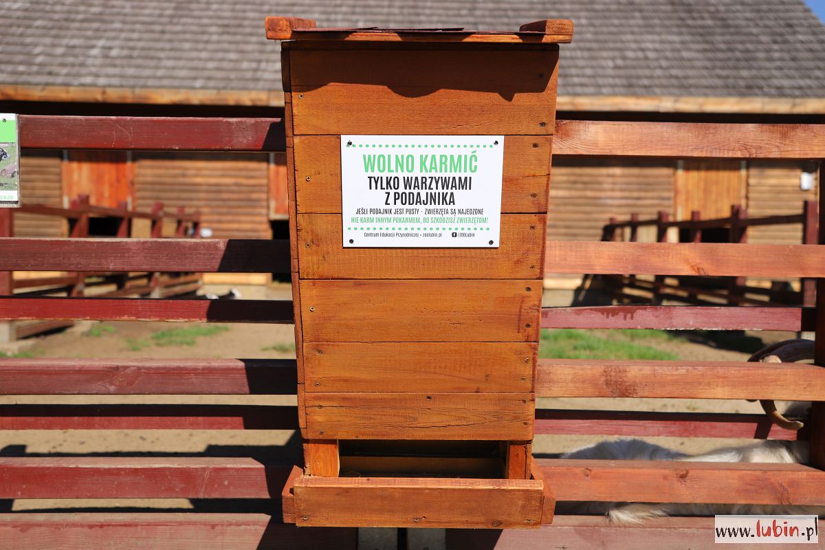 Dokarmianie pod nadzorem. Chipsy i ciastka nie dla zwierząt