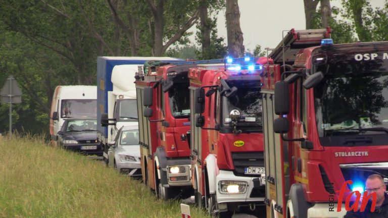 Nikt nie miał zapiętych pasów