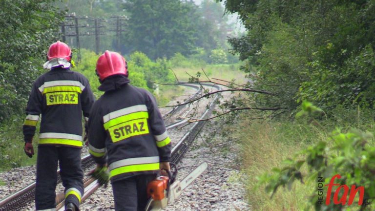Na kłopoty – strażacy (FOTO)