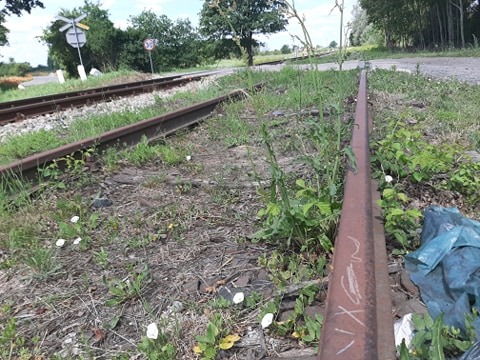 Droga rowerowa w miejsce torowiska