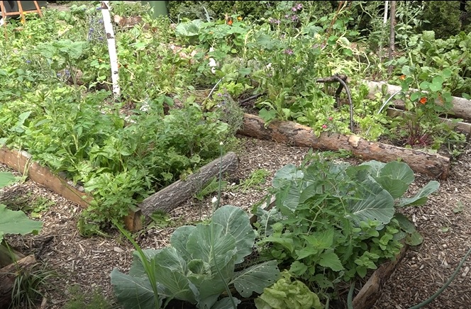 Eksperyment w centrum miasta