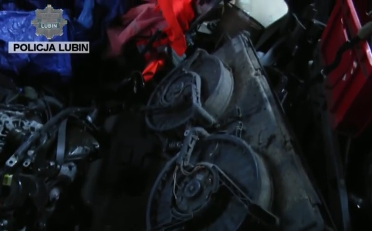 Znaleźli dziuplę, szukają złodzieja