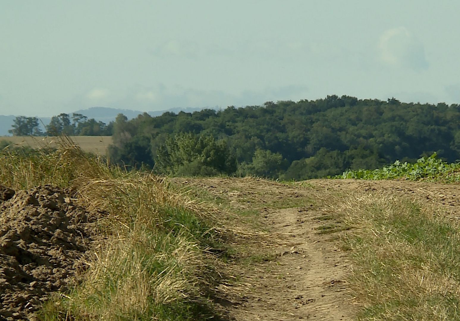 Gorączka złota pod Legnickim Polem (WIDEO)