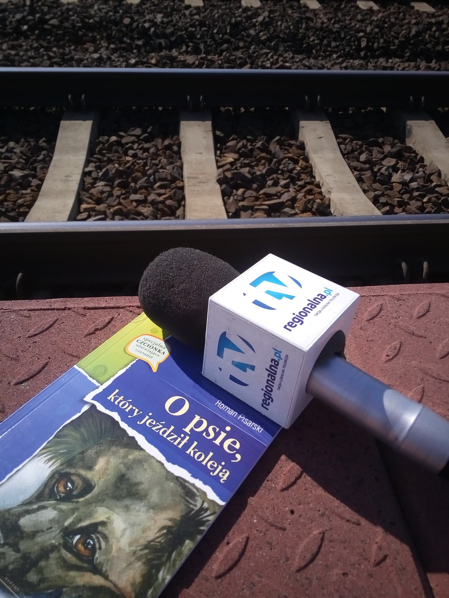 O psie, który pojechał pociągiem (WIDEO)