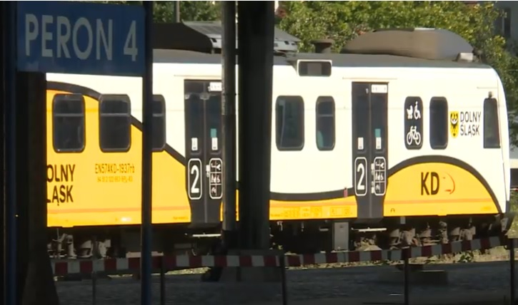 Jak bezpiecznie jeździć z psem?