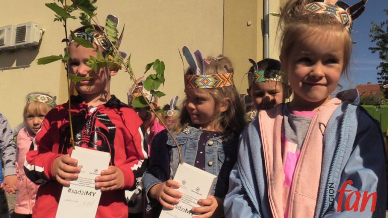 Tysiąc sadzonek – wszystkie gratis! (FOTO, WIDEO)