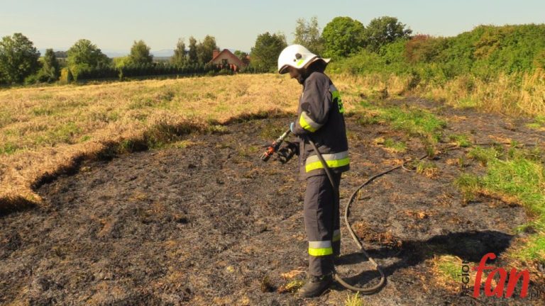Pożar zboża (?) pod lasem (FOTO)