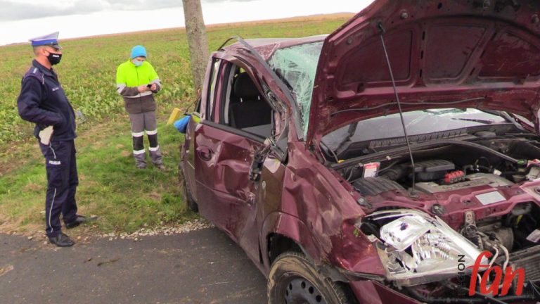 Opel na drzewie – senior w szpitalu (FOTO, WIDEO)