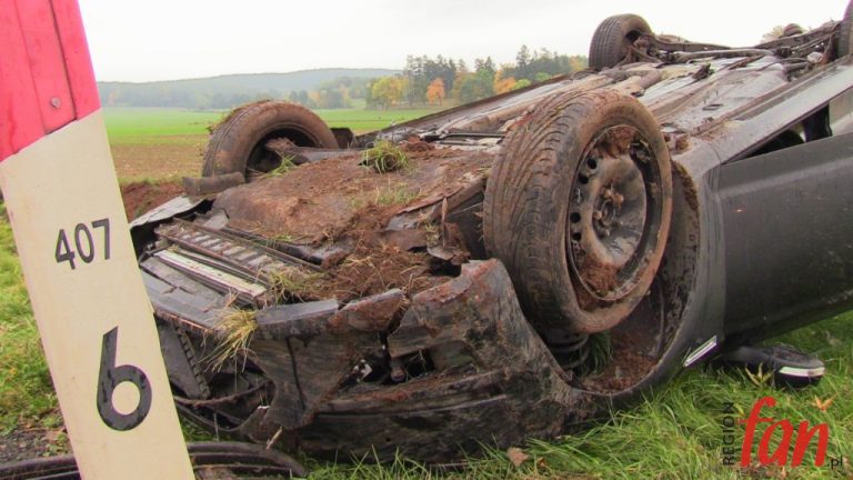 Dachowanie w Sadach Dolnych (FOTO)