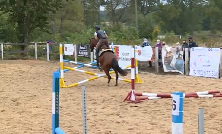 Memoriał na cztery kopyta