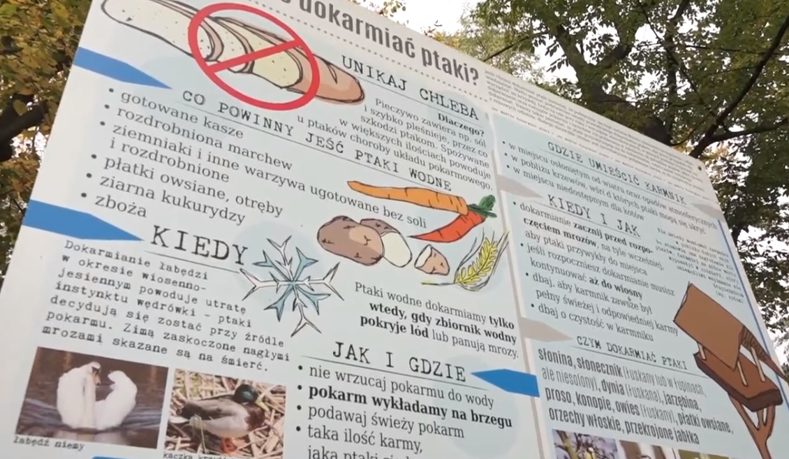 Uczą, jak pomóc jesienią i zimą