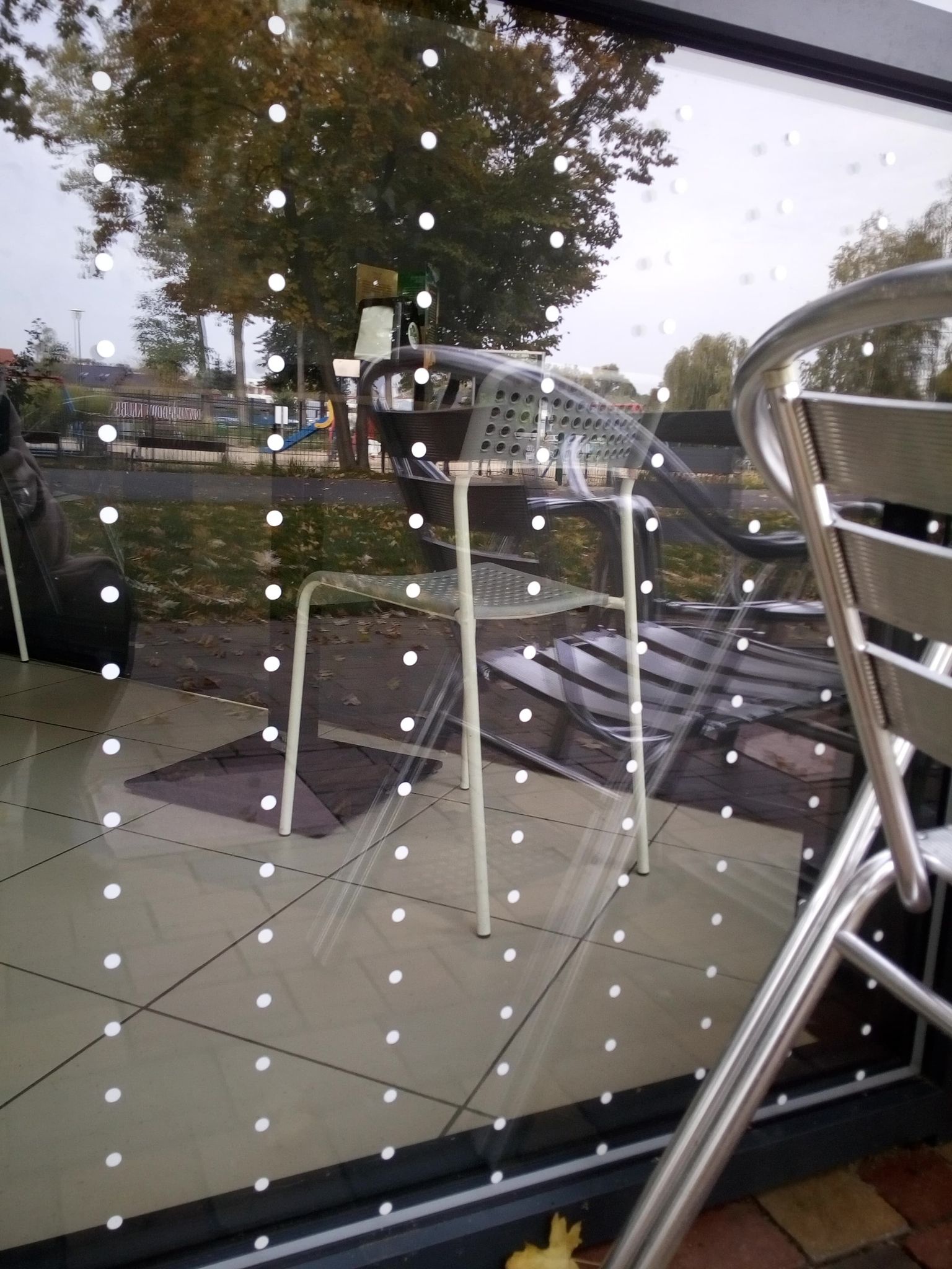 Kropki chronią ptaki