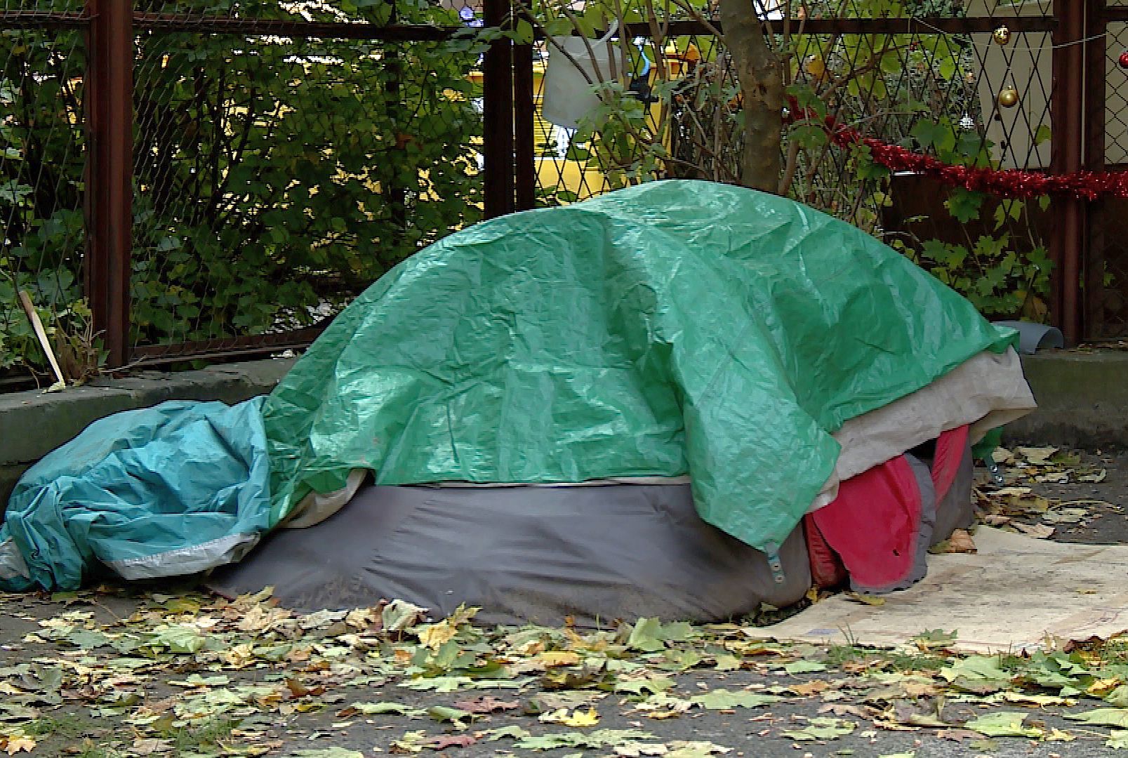 Namiot bezdomnego stoi w centrum miasta (WIDEO)