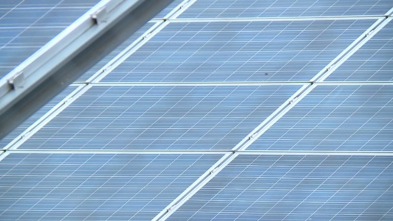 Największa taka farma w regionie (WIDEO)