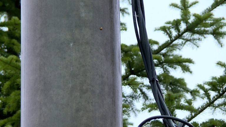 Ukradli kable na 56 tys. zł