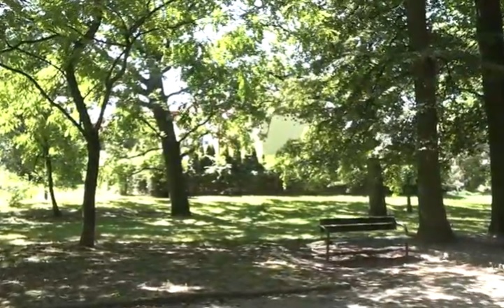 Realizują zielone pla(ta)ny