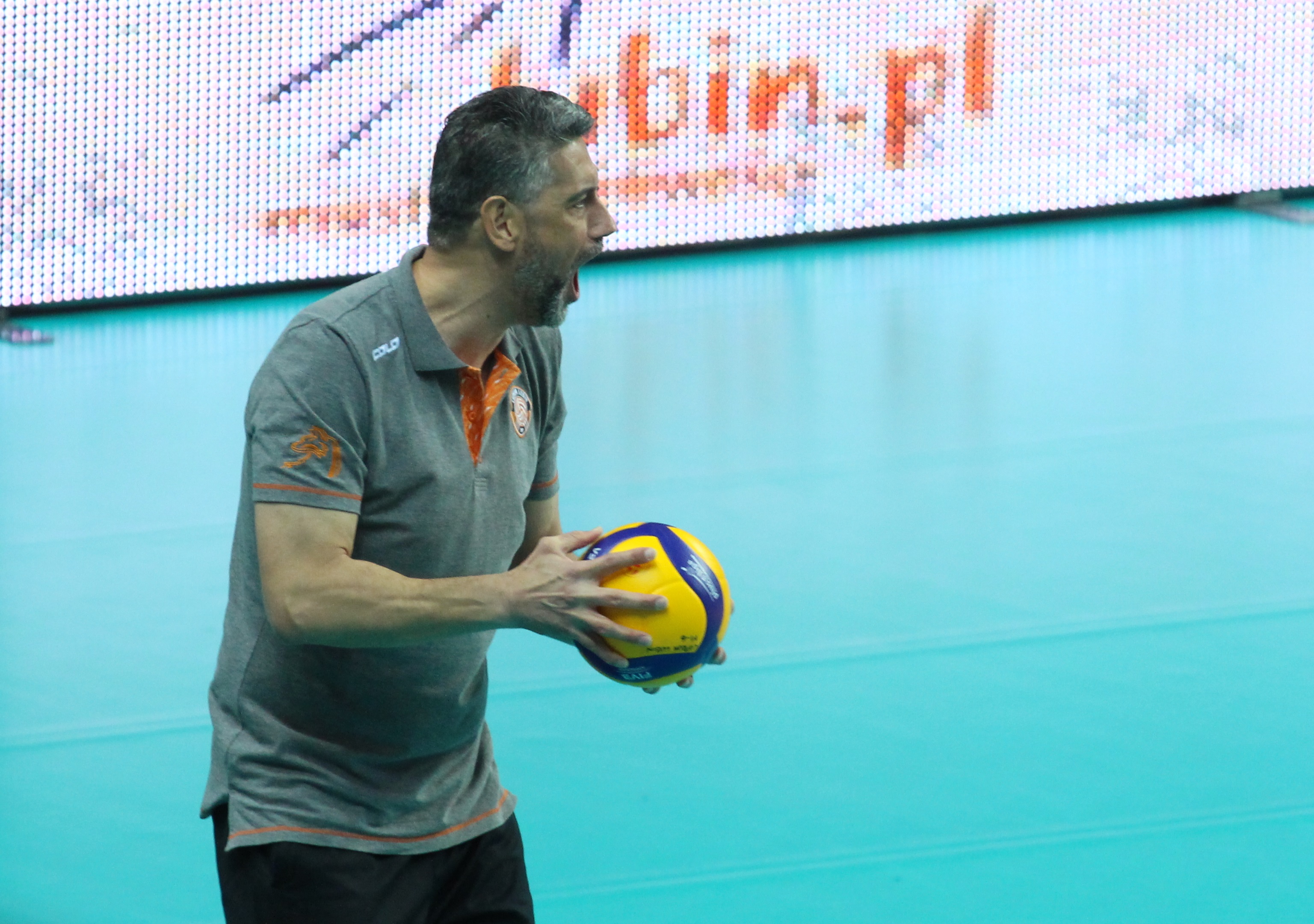 Miedziowe Lisy wracają do domu na tarczy