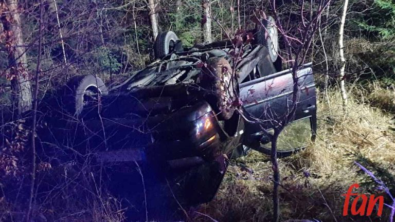 Dachowanie w lesie (WIDEO)