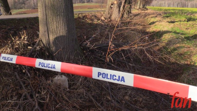 Powojenne niewybuchy trafiły na poligon (WIDEO)