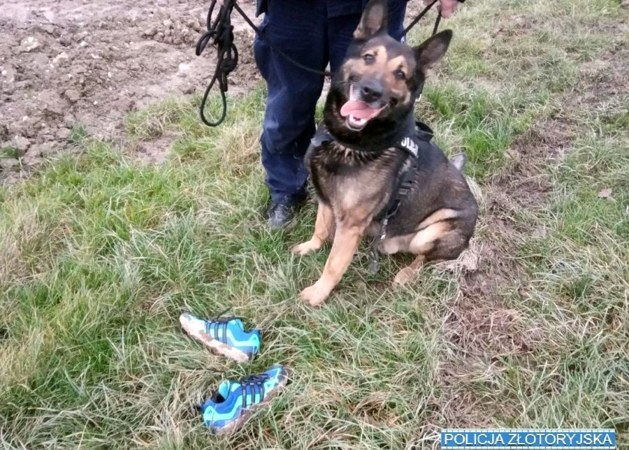 Trop zawiódł psy do ambony (WIDEO)