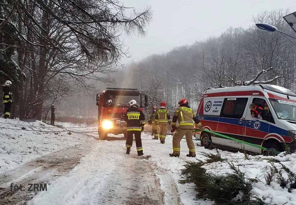 Drzewo runęło na ludzi. Są poszkodowani!