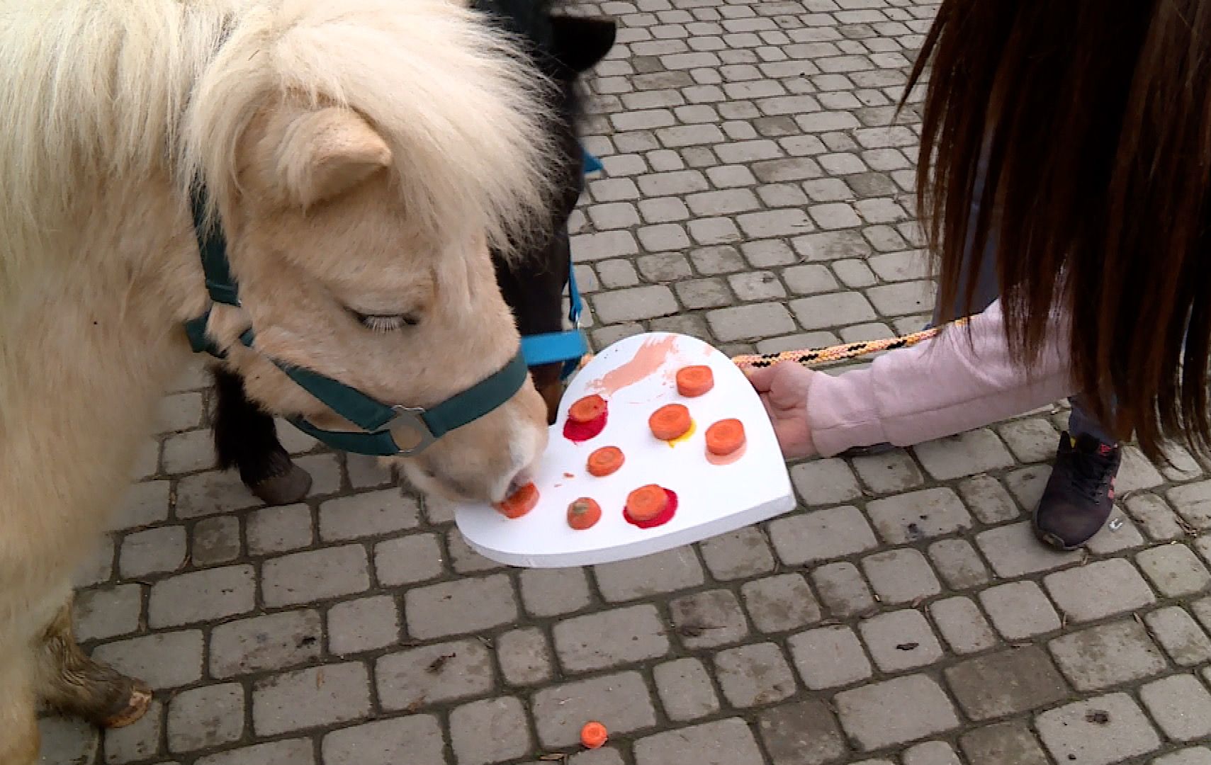 Sztuka oparta na… marchewce (WIDEO)