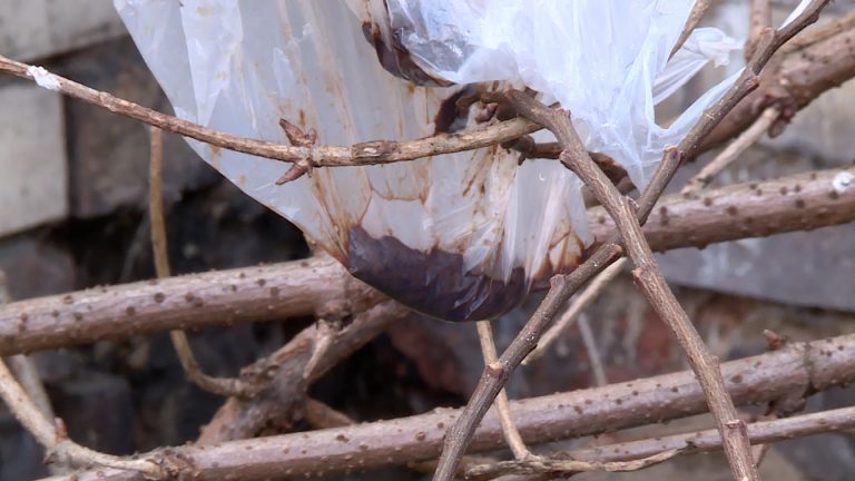 Śmierdząca sprawa (WIDEO)