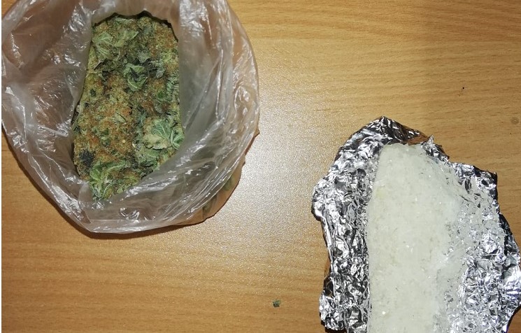 Nietypowa hodowla w mieszkaniu