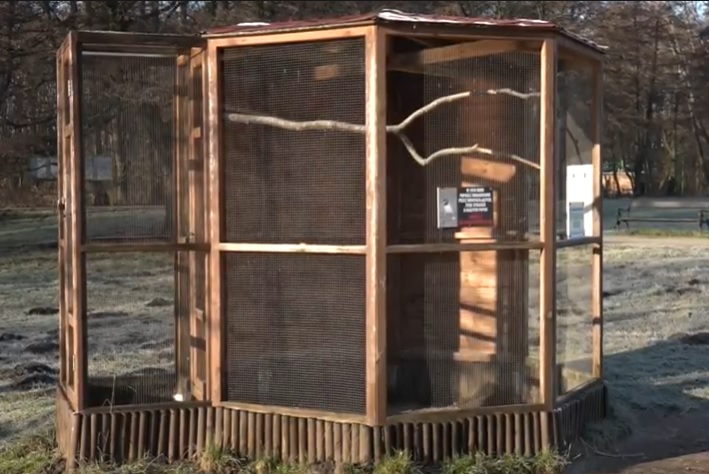 Gdzie są ptaki z lubińskiego zoo?