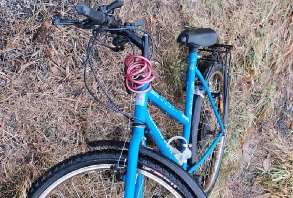 Wracał z dołka kradzionym góralem