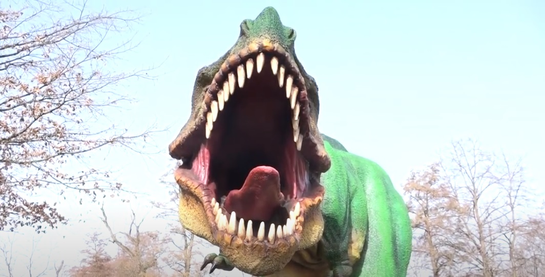 Znaleźliśmy największego dinozaura w Polsce?