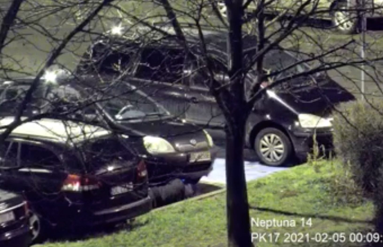 Katalizatory stały się ich zgubą (WIDEO)