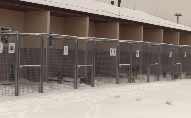 Zagubieni w mieście trafią do Świdnicy