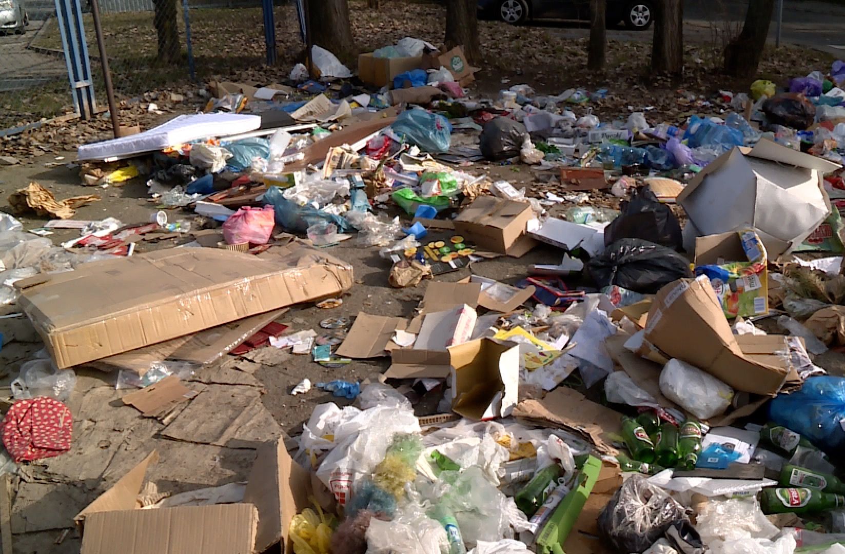 Kto posprząta na Piekarach? (WIDEO)